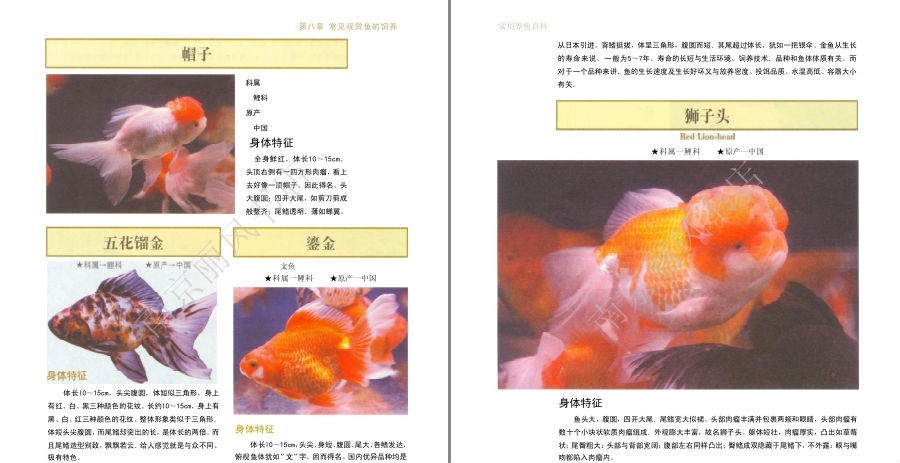 QQ截图20230604073053.png
