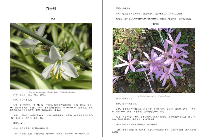 QQ截图20230808085804.png