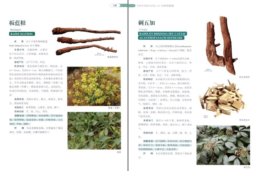 QQ截图20220930081457.png