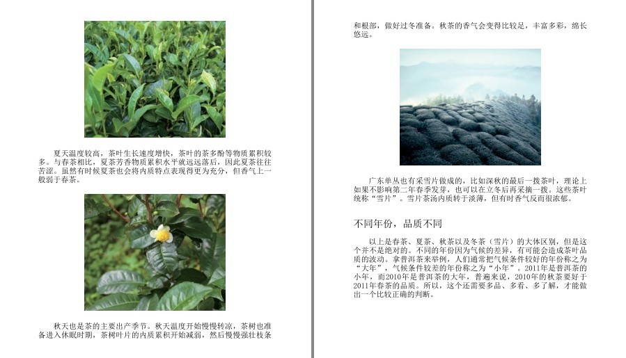 QQ截图20230416130146.png