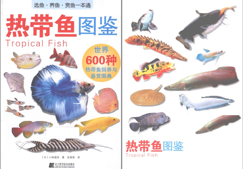 QQ截图20230725084700.png