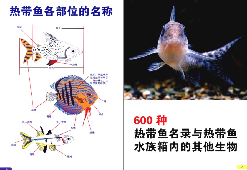 QQ截图20230725084715.png