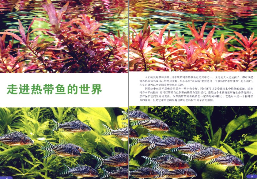 QQ截图20230725084708.png