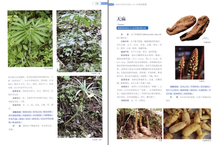 QQ截图20220930081114.png