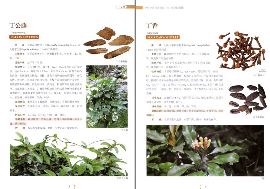 QQ截图20220930080520.png