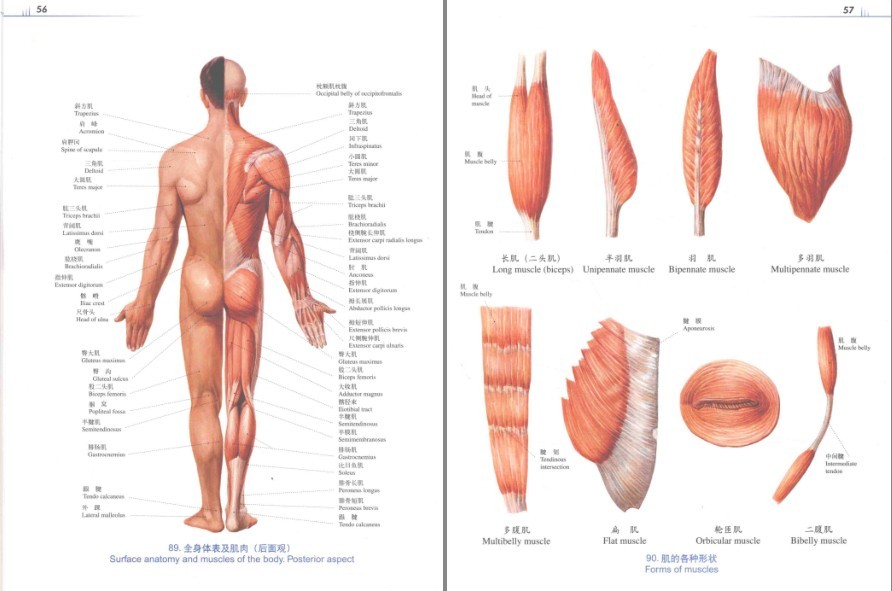 QQ截图20230617221844.png