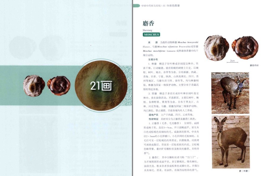 QQ截图20220930081649.png