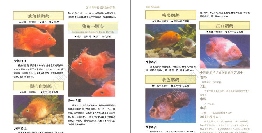 QQ截图20230604073127.png