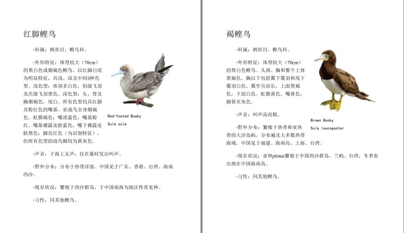 QQ截图20230710090402.png