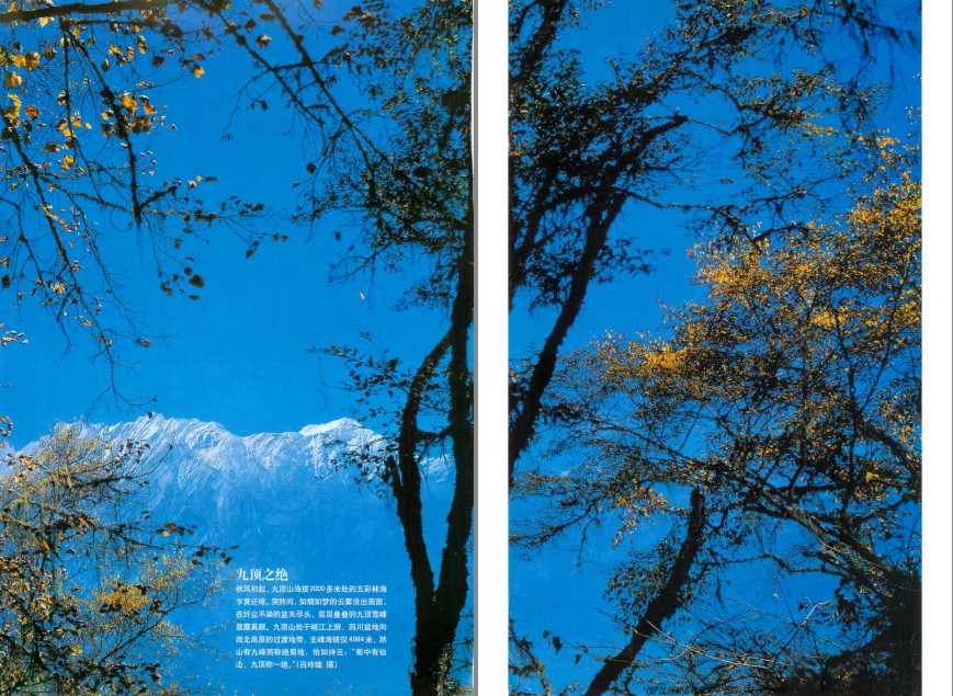 QQ截图20231211134628.png