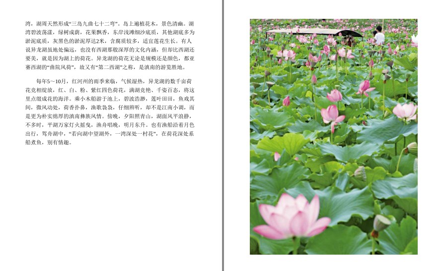 QQ截图20221004142506.png