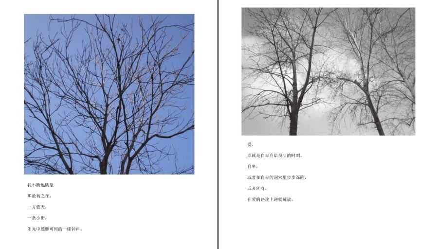 QQ截图20230323171603.png