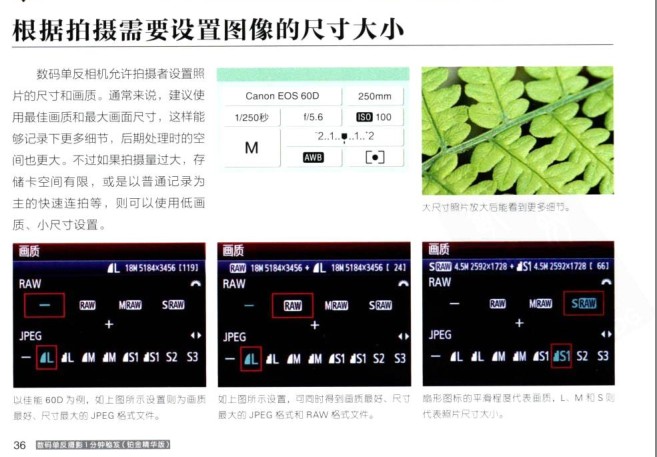 QQ截图20231127193821.png