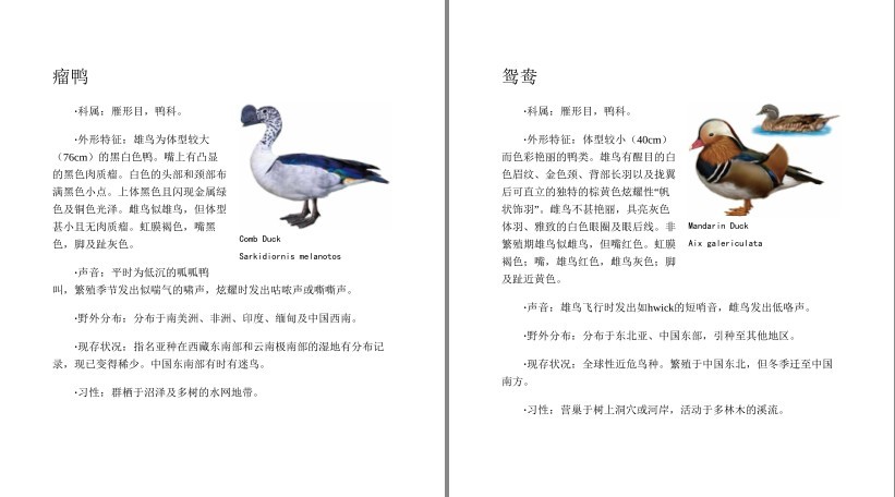 QQ截图20230710090433.png