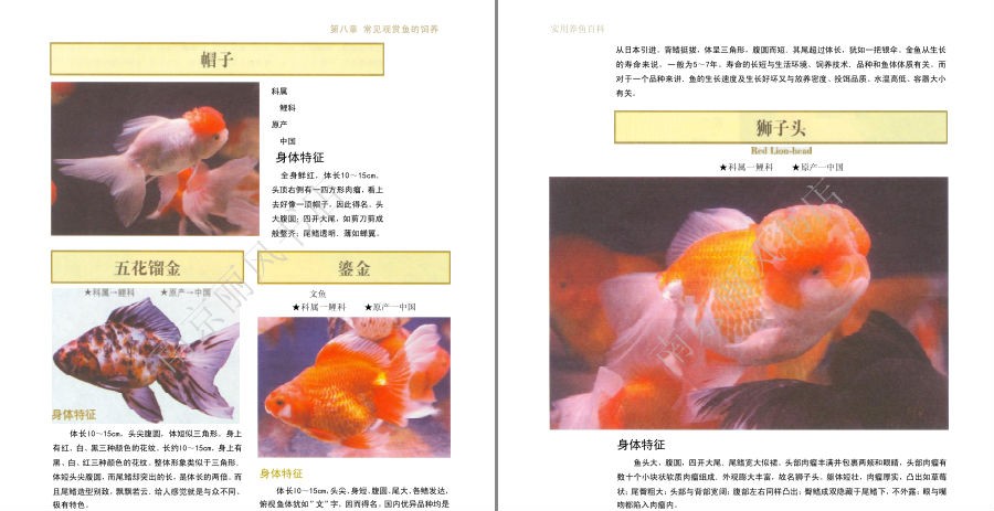 QQ截图20230604073053.png