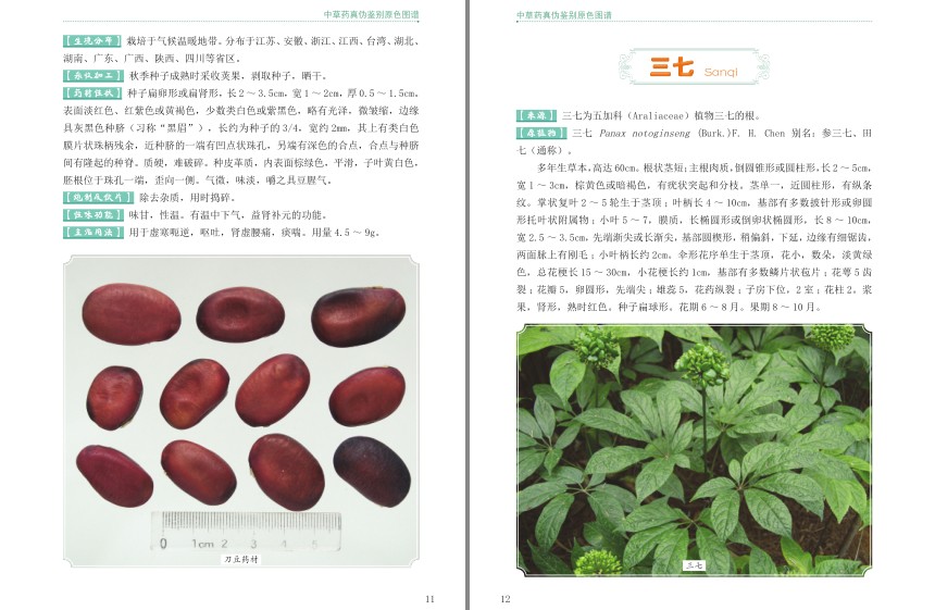 QQ截图20231218221316.png