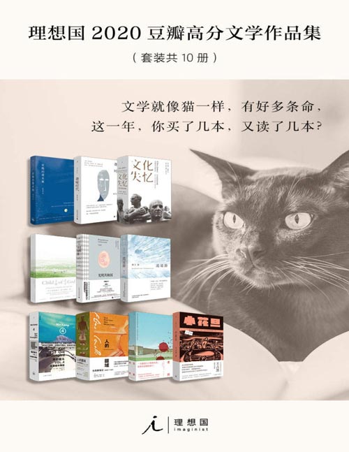理想国2020年豆瓣高分文学作品集(套装共10册)理想国2020年度最受好评新书