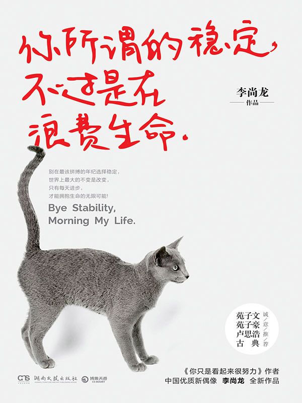 《你所谓的稳定,不过是在浪费生命》李尚龙