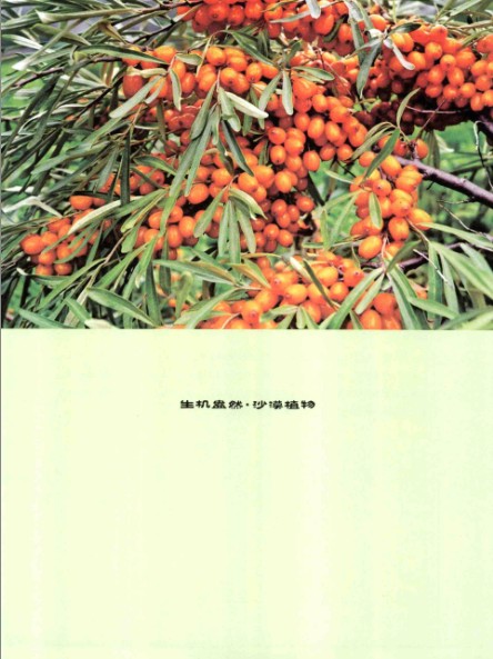 QQ截图20230824124751.png