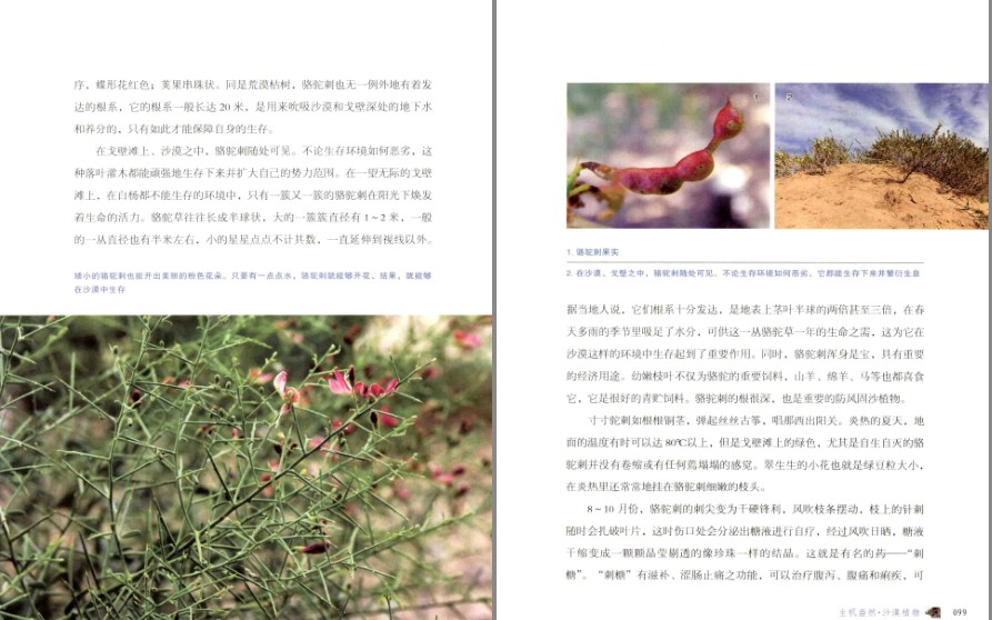 QQ截图20230824124821.png