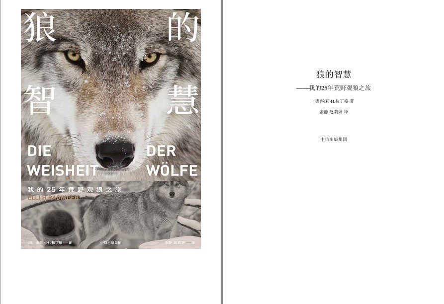 QQ截图20221009163534.png
