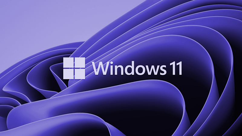 笔记本Win11系统里下载?