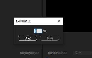 PR如何添加标准化轨道?