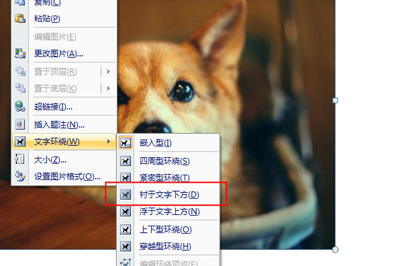 Word九宫格图片怎么做?