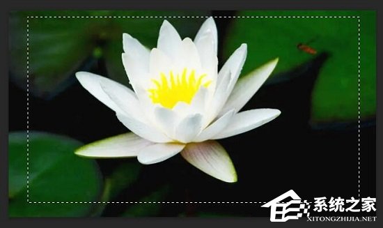 PS如何设置图片边缘虚化?