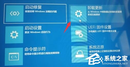 Win11回退按钮没反应怎么办?