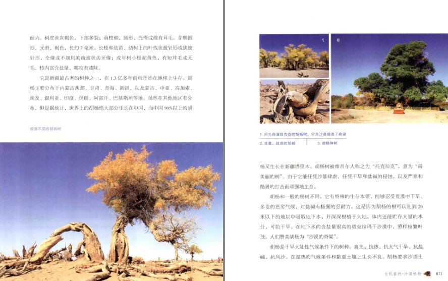 QQ截图20230824124758.png