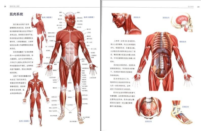 QQ截图20231121212744.png