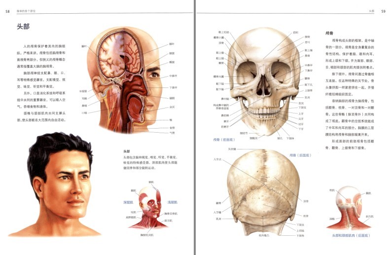 QQ截图20231121212812.png
