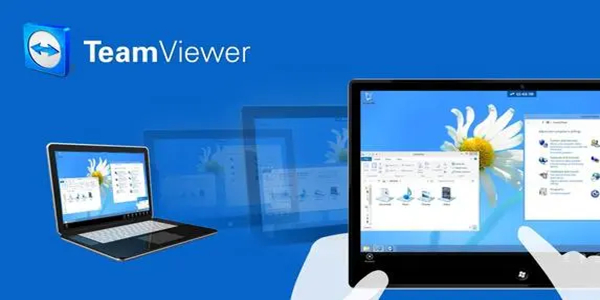 TeamViewer截图