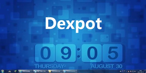 Dexpot截图