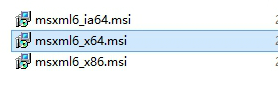 MSXML(Microsoft Core XML Services)截图