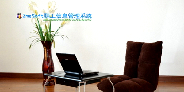 ZmsSoft职工信息管理系统截图