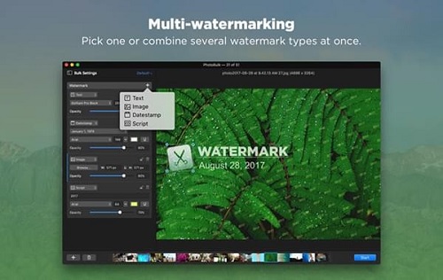 PhotoBulk For Mac截图