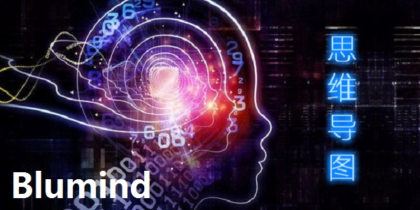 Blumind截图