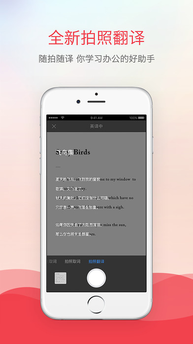 有道词典截图