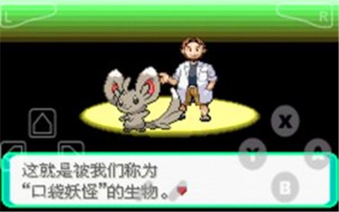 口袋妖怪漆黑的魅影官方版 口袋妖怪漆黑的魅影截图