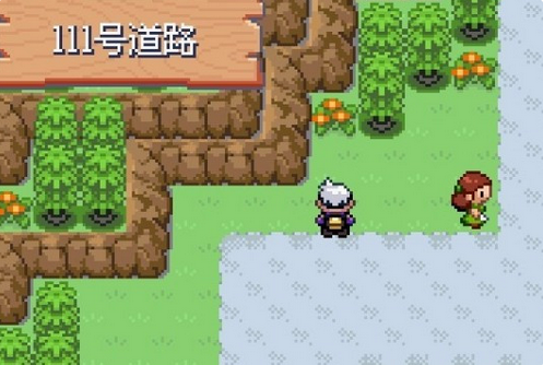 口袋妖怪漆黑的魅影官方版 口袋妖怪漆黑的魅影截图