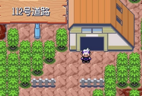 口袋妖怪漆黑的魅影官方版 口袋妖怪漆黑的魅影截图