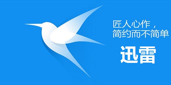 迅雷iPad版截图