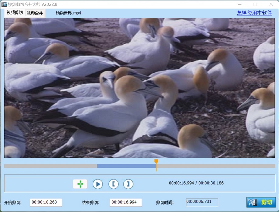 视频编辑精灵截图