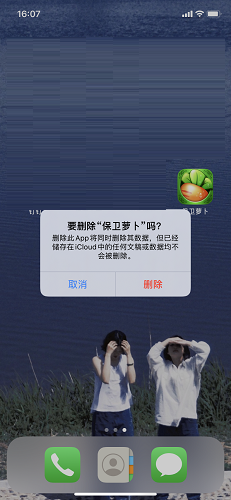 保卫萝卜截图