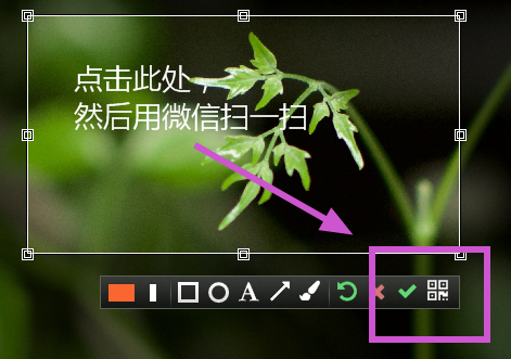 微截图截图