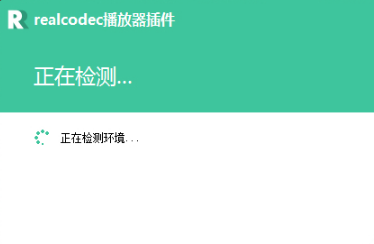 realcodec截图