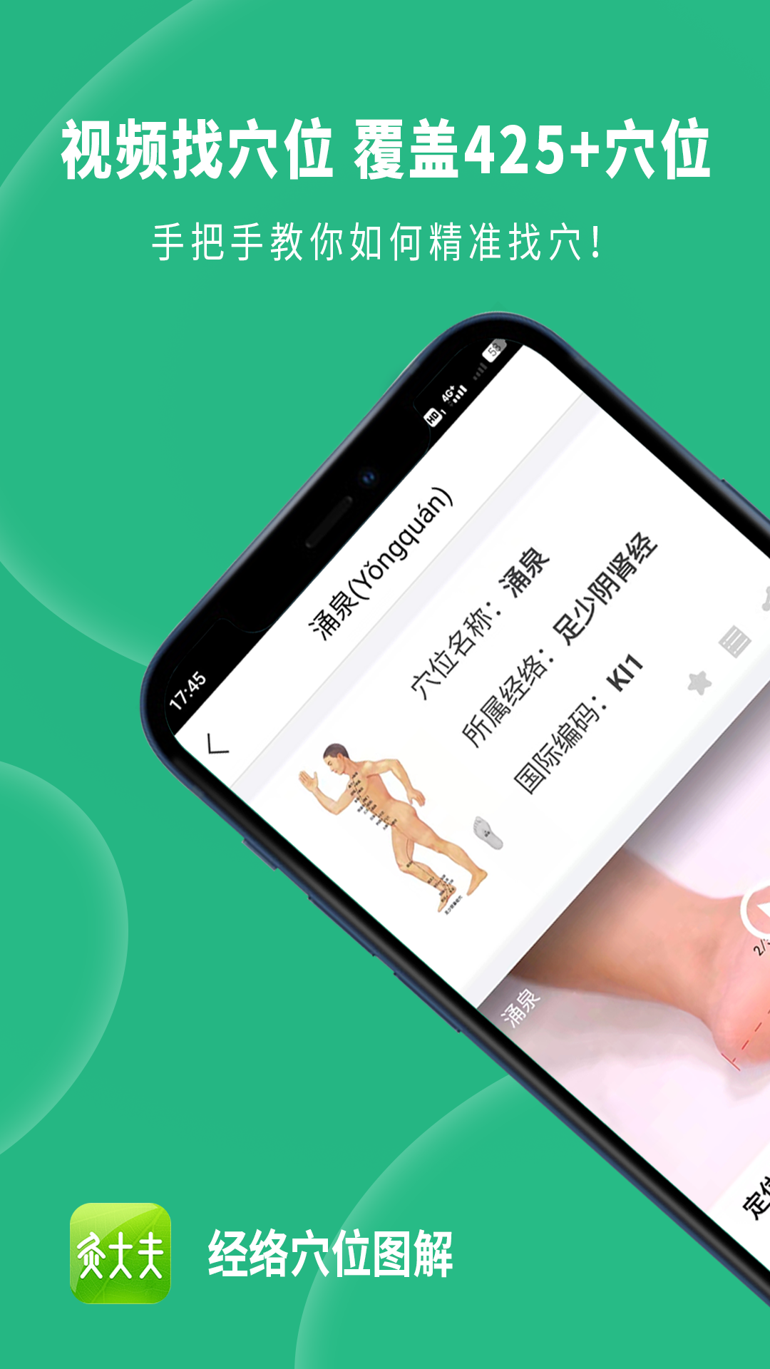 经络穴位图解 经络穴位图解截图