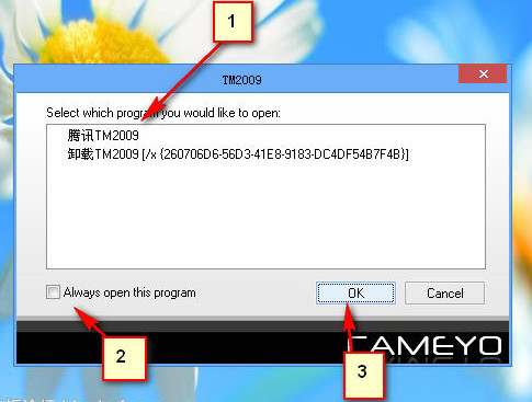 TM2009截图